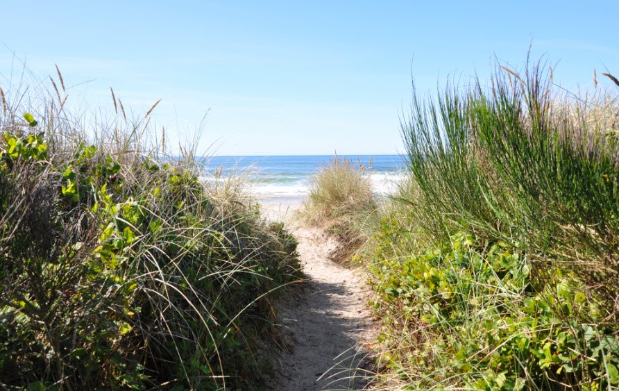 Manhattan Beach State Recreation Site, Oregon, USA